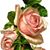 Laura Brooks's profile image