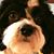 Mary Merritt Olmstead's profile image