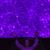 Laura Gabriela's profile image