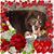 Cathy Callahan Dennison's profile image