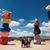 Dena Brummett's profile image