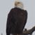 Sharall D Kinnison's profile image