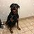 Kristy Geising-Scott's profile image