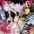 Penny Garee Hall's profile image