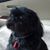 Margie Danisch's profile image