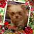 Christine Evans Mitchell's profile image