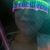 Alyssa Hartford's profile image
