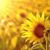 Bobbie Hawkes's profile image
