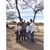 Melissa McKinney Perales's profile image