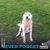 Tammie Huff Umsted's profile image