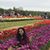 Sandhya Settipalli's profile image