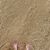 Jeri-Marie Smith DeWitt's profile image