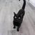 Marilyn Lenz Hostrawser's profile image