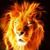 Jeff Cain's profile image
