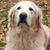 Karen Tresler's profile image