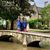 Shannon Michael Carollo's profile image