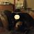 Teri Diane Davis's profile image