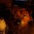 Nelda Owen-Nolen's profile image