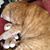 Lucille Van Buckenhout's profile image