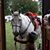 Deborah Wormuth's profile image