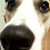 Allegra French's profile image