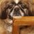 Vickie Cox Sousa's profile image
