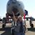 Doris Hill Johnson's profile image