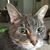 Beverly Menninger's profile image