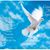 KathySue Conklin's profile image