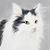 Tamara Kelly's profile image