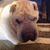 Bev Boyd's profile image