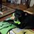 Lisa Steeves's profile image
