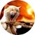 Pesach Kirschner's profile image