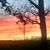 Misty Adams Jeffers's profile image