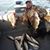 Wes Smith's profile image