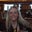Angie Garrett's profile image
