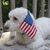 Ivy Lewis Marsch's profile image