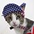 Dora Dorita's profile image