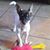 Kelly Hager's profile image