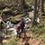 Janelle Tousey Goldean's profile image