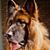 Doug Jewell's profile image