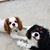 Lesley Beter's profile image