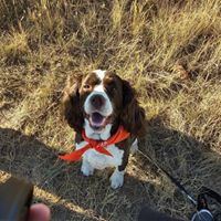 Laurie Michelson's profile image