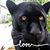 Debbie Pendland's profile image