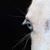 Morgan Borer's profile image