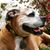 Joanie Lambert's profile image