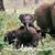 Janeen Jones's profile image