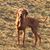 Mara Donathan's profile image