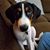 Barbara Peirce Krusen's profile image