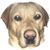 Qleanne Michelle's profile image